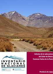 Informe Subcuenca del Salar de Olaroz