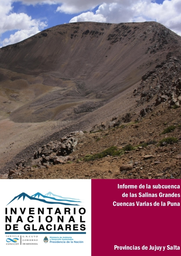 Informe Subcuenca de las Salinas Grandes