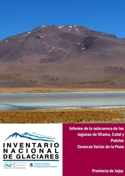 Informe Subcuenca de las lagunas de Vilama, Catal y Pululos