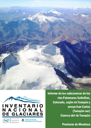Informe Subcuencas de los ríos Palomares Salinillas, Colorado, cajón río Tunuyán y arroyo San Carlos (Tunuyán sur)