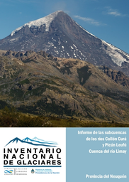 Informe Subcuencas de los ríos Collón Curá y Picún Leufú