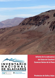 Informe Subcuenca del Salar de Cauchari