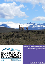 Informe Cuenca de los lagos Buenos Aires y Pueyrredón