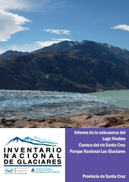 Informe Subcuenca del Lago Viedma